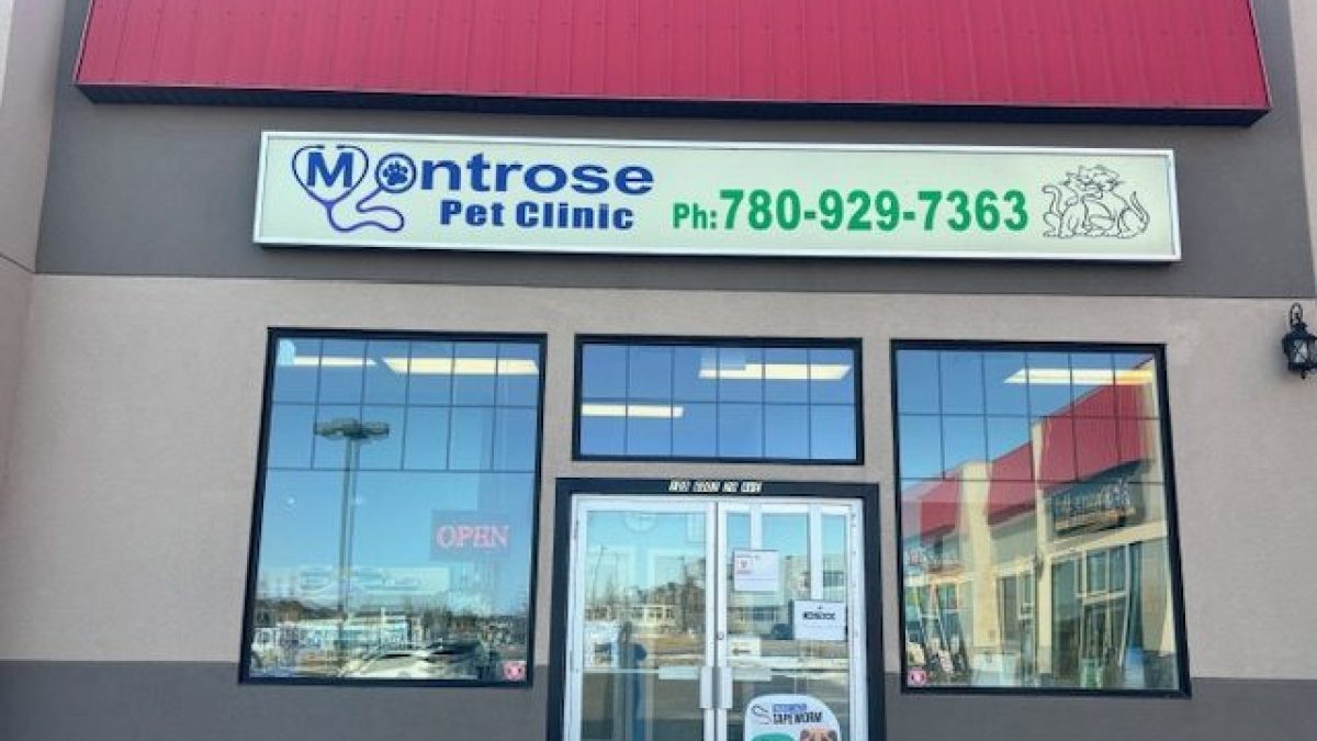 Dog clinic sale near me open